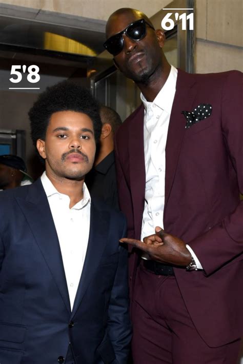 the weeknd height chart